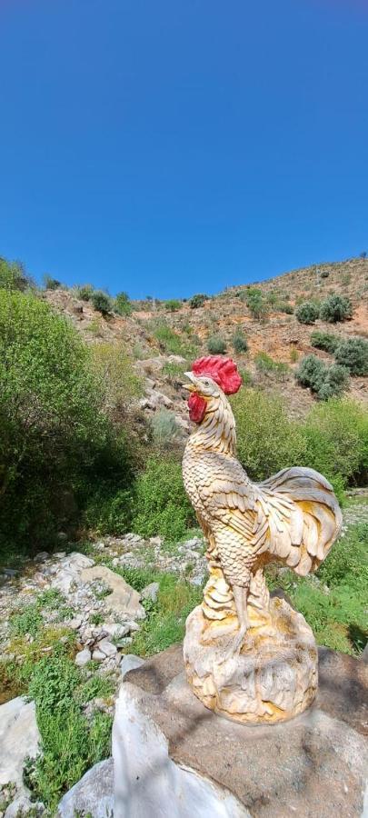 Molino Laroya Βίλα Εξωτερικό φωτογραφία