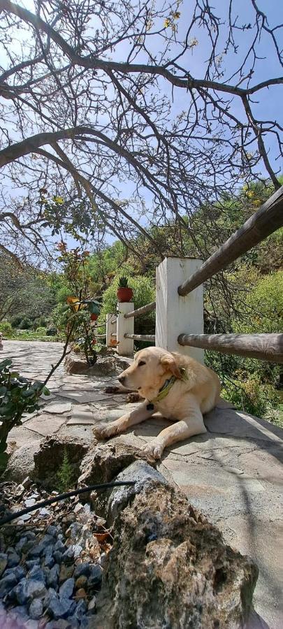 Molino Laroya Βίλα Εξωτερικό φωτογραφία